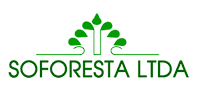 Soforesta